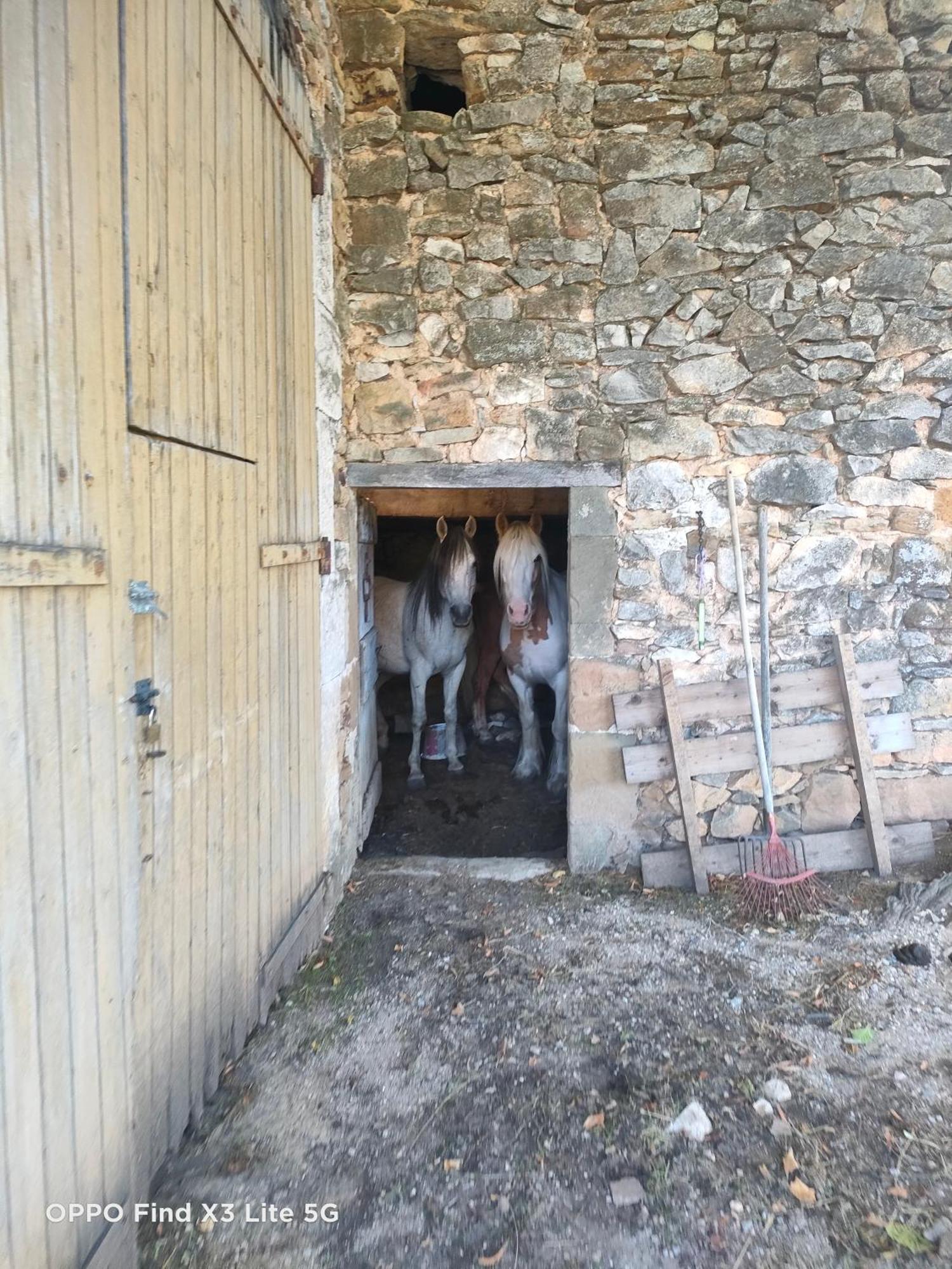 Gite A La Ferme Ongles ภายนอก รูปภาพ